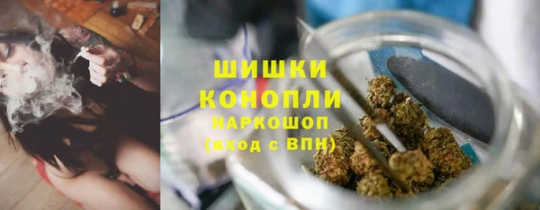 apvp Новозыбков