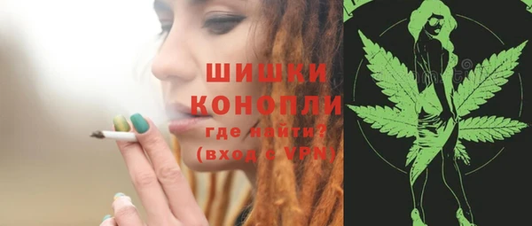 гашик Нягань