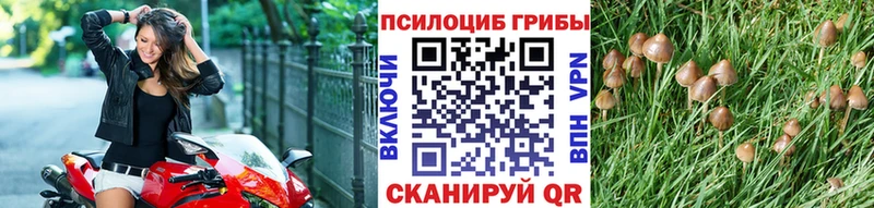 Галлюциногенные грибы прущие грибы  Никольск 